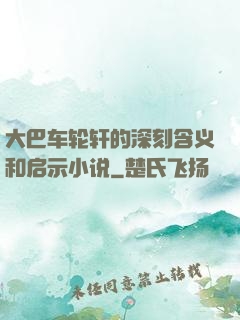 大巴车轮轩的深刻含义和启示小说