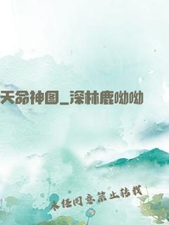 天命神图