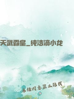 天武霸皇