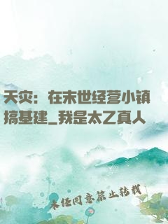 天灾：在末世经营小镇搞基建