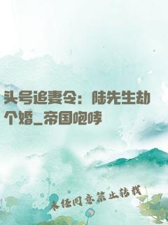 头号追妻令：陆先生劫个婚