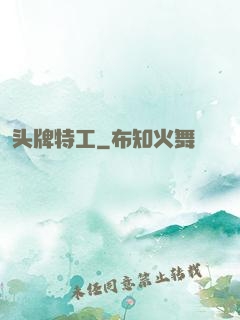 头牌特工