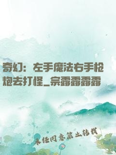 奇幻：左手魔法右手枪炮去打怪