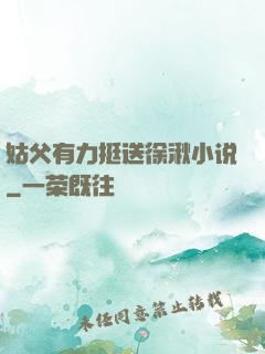 姑父有力挺送徐湫小说
