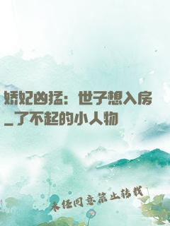 娇妃凶猛：世子想入房