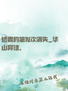 娇妻的第N次消失