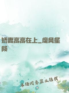 娇妻高高在上