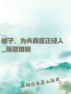 娘子，为夫真是正经人