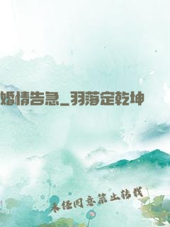 婚情告急
