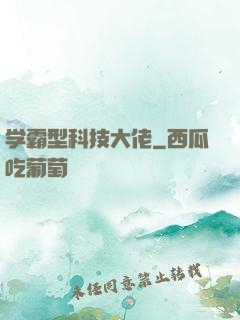 学霸型科技大佬