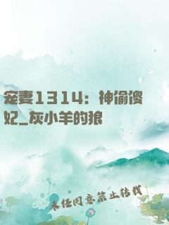 宠妻1314：神偷傻妃