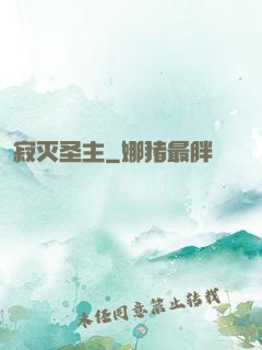 寂灭圣主