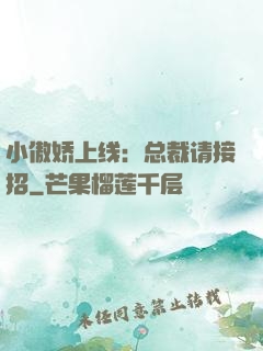小傲娇上线：总裁请接招