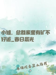 小姐，总裁家里有矿不好追