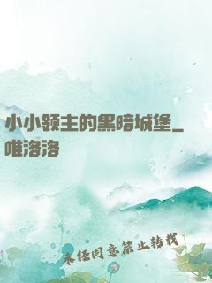 小小领主的黑暗城堡