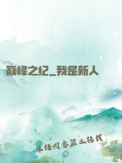 巅峰之纪