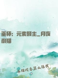 巫师：元素领主