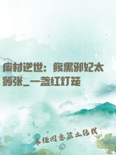 废材逆世：腹黑邪妃太嚣张
