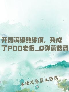 开局满级熟练度，我成了PDD老板