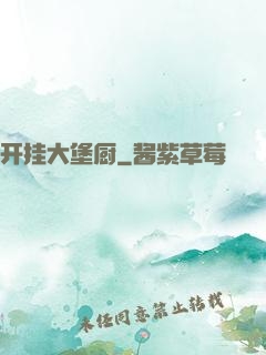 开挂大堡厨