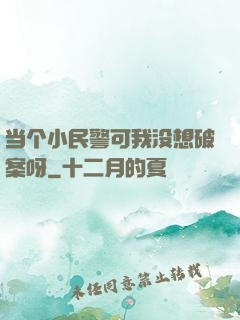 当个小民警可我没想破案呀