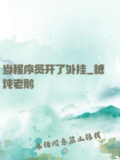 当程序员开了外挂