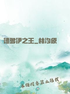 德鲁伊之王