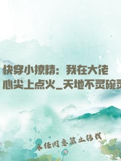快穿小撩精：我在大佬心尖上点火
