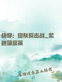 快穿：炮灰反击战