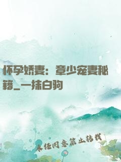 怀孕娇妻：章少宠妻秘籍