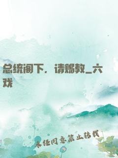 总统阁下，请赐教