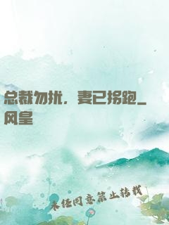 总裁勿扰，妻已拐跑