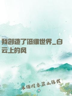 我创造了低维世界