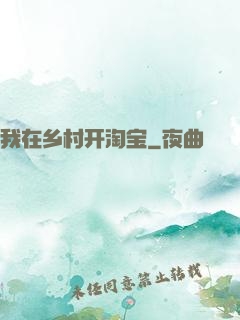 我在乡村开淘宝