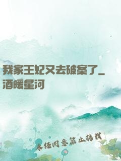 我家王妃又去破案了