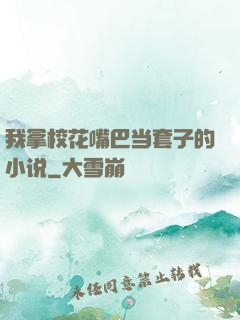 我拿校花嘴巴当套子的小说