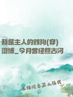 我是主人的贱狗(穿)微博
