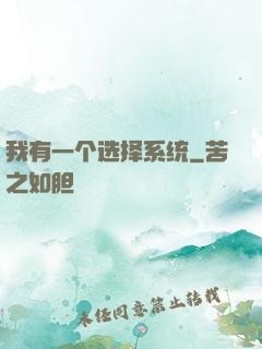 我有一个选择系统
