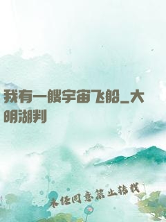我有一艘宇宙飞船
