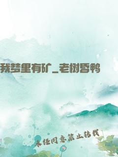 我梦里有矿