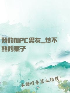 我的NPC男友