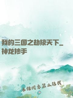 我的三国之劫掠天下