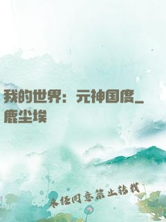 我的世界：元神国度