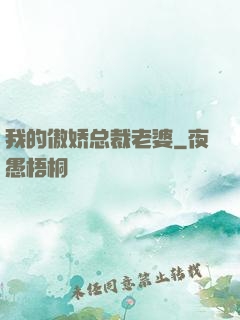 我的傲娇总裁老婆
