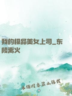我的极品美女上司