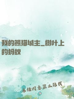 我的熊猫城主