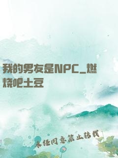 我的男友是NPC