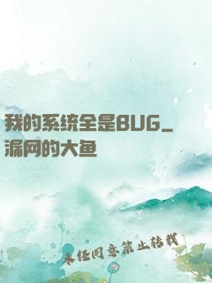 我的系统全是BUG