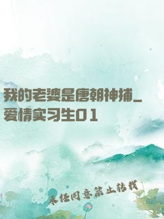 我的老婆是唐朝神捕