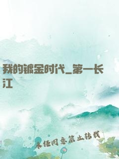 我的镀金时代